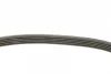 Комплект ременя генератора Renault Kangoo 1.4i/1.6i 97- (5PK 1113) 529 0145 10 INA 529-0145-10 (фото 2)
