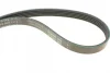 Комплект ременя генератора Renault Kangoo 1.4i/1.6i 97- (5PK 1113) 529 0145 10 INA 529-0145-10 (фото 3)