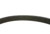 Комплект ременя генератора Citroen Jumpy/Peugeot Expert 1.9D 98-06 (6PK1390) 529 0157 10 INA 529-0157-10 (фото 3)
