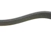 Комплект ременя генератора Skoda Fabia/VW Polo 1.0/1.6 14- (6PK989) 529 0160 10 INA 529-0160-10 (фото 3)
