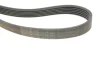 Комплект ременя генератора Skoda Fabia/VW Polo 1.0/1.6 14- (6PK989) 529 0160 10 INA 529-0160-10 (фото 4)