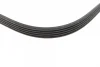 Комплект ременя генератора Renault Kangoo 1.2 97- (5PK 915) D7F 529 0177 10 INA 529-0177-10 (фото 3)