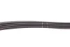 Комплект ременя генератора Renault Kangoo 1.5 dCi 01- (5PK1133) 529 0178 10 INA 529-0178-10 (фото 3)