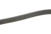 Комплект ременя генератора VW Caddy IV 1.6 15-20 (6PK1003) 529 0208 10 INA 529-0208-10 (фото 3)