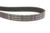 Комплект ременя генератора Citroen Jumper/Peugeot Boxer 2.0 HDi 15- (6PK1708) 529 0310 10 INA 529-0310-10 (фото 9)