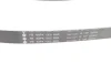 Комплект ременя генератора Peugeot 208/2008 1.6BlueHDi 13- (6PK1005) 529 0358 10 INA 529-0358-10 (фото 2)