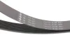 Комплект ременя генератора Iveco Daily 2.3 JTD 02-, (4EPK903 + 7PK1325) 529 0386 10 INA 529-0386-10 (фото 10)
