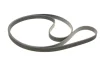 Комплект ременя генератора Land Rover Discovery/Range Rover Sport I 2.7D/3.0D 04-18 (6PK2100) 529 0422 10 INA 529-0422-10 (фото 2)