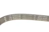 Комплект ременя генератора Land Rover Discovery/Range Rover Sport I 2.7D/3.0D 04-18 (6PK2100) 529 0422 10 INA 529-0422-10 (фото 4)