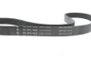 Комплект ременя генератора Audi A3/Seat Leon/Skoda Octavia/VW Caddy/Passat B6 1.6-2.0 03- (6PK1043) 529 0429 10 INA 529-0429-10 (фото 4)