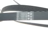 Комплект ременя генератора Ford Transit 2.2 TDCi 11- (7PK2968) 529 0442 10 INA 529-0442-10 (фото 3)