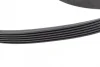 Комплект ременя генератора Opel Insignia 2.0 CDTI 14- (6PK1830) 529 0448 10 INA 529-0448-10 (фото 7)