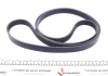 Комплект ременя генератора MB Sprinter/Vito 2.2-2.7 CDI 00-06 (6PK2270) 529 0449 10 INA 529-0449-10 (фото 9)