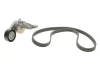 Комплект ременя генератора VW Caddy III 1.9TDI/2.0TDi 04-10 (6DPK1215) 529 0462 10 INA 529-0462-10 (фото 2)
