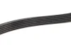 Комплект ременя генератора VW Caddy III/ Golf VI 1.6/2.0 TDI (6PK1070) 529 0475 10 INA 529-0475-10 (фото 3)