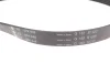 Комплект ременя генератора Ford Focus 2.5 ST 05-12, (5PK890 + 5PK848) 529 0477 10 INA 529-0477-10 (фото 3)