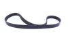 Комплект ременя генератора BMW 3 (F30, F80), 03/11 - 10/18, (6PK 985)N13B16 529 0482 10 INA 529-0482-10 (фото 3)