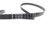 Комплект ременя генератора VW Caddy II 1.9 SDI 95-04 (6PK1835) 529 0498 10 INA 529-0498-10 (фото 3)