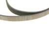 Комплект ременя генератора Ford Fiesta/Focus 1.0 12- 529 0524 10 INA 529-0524-10 (фото 3)