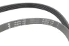 Комплект ременя генератора Ford Transit Custom 2.2 TDCi 12-15 (6PK1685/4PK922) 529 0526 10 INA 529-0526-10 (фото 2)