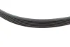 Комплект ременя генератора Ford Transit Custom 2.2 TDCi 12-15 (6PK1685/4PK922) 529 0526 10 INA 529-0526-10 (фото 3)