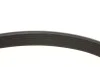Комплект ременя генератора Hyundai Tucson/Kia Sportage 1.6 CRDI 19- (7PK1065) 529 0559 10 INA 529-0559-10 (фото 6)