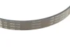 Комплект ременя генератора BMW 3 (F30, F80)/5 (G30/F90)/7 (G11/G12) 15- B46/B48/B58 (6PK1153) 529 0566 10 INA 529-0566-10 (фото 4)