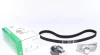 Комплект ГРМ Skoda Octavia/VW Golf IV 96-10 530 0067 10 INA 530-0067-10 (фото 1)