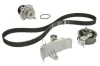 Комплект ГРМ + помпа Skoda Octavia/VW Golf IV 96-10 530 0067 30 INA 530-0067-30 (фото 1)