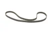 Комплект ГРМ Opel Astra F/Vectra B 1.4/1.6 16V 94-05 530 0078 10 INA 530-0078-10 (фото 2)