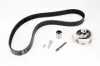 Комплект ГРМ Skoda Fabia/VW Passat/Golf 1.9TDI 00- 530 0091 10 INA 530-0091-10 (фото 1)