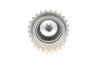 Комплект ГРМ Fiat Ducato 2.3JTD/D Multijet 06- (178x30) 530 0232 10 INA 530-0232-10 (фото 12)
