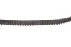 Комплект ГРМ Citroen Xsara/Peugeot 306 1.8 16V 97-02 530 0236 10 INA 530-0236-10 (фото 9)