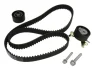 Комплект ГРМ Fiat Scudo 2.0i 16V, 00-06, 100kw, RFN (EW10J4) 530 0238 10 INA 530-0238-10 (фото 1)