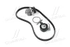 Комплект ГРМ + помпа Citroen Berlingo/Peugeot Partner 1.1i 96-08 530 0334 30 INA 530-0334-30 (фото 1)