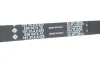 Комплект ГРМ Renault Clio/Rapid 1.9D 91-98, (151x25.4), F8Q 530 0362 10 INA 530-0362-10 (фото 3)