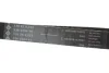 Комплект ГРМ Citroen C4/Peugeot 307 1.4 16V 03- 530 0419 10 INA 530-0419-10 (фото 4)