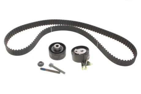 Комплект ГРМ Citroen C4/Peugeot 307 1.4 16V 03- 530 0419 10 INA 530-0419-10