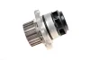 Комплект ГРМ + помпа Audi A3/Skoda Octavia/VW Golf 2.0FSI 04-10 (148x23) 530 0445 31 INA 530-0445-31 (фото 10)