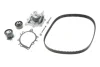 Комплект ГРМ + помпа Citroen C5/C6/C8/Fiat/Ford/Peugeot 2.2HDI 06- 530 0489 30 INA 530-0489-30 (фото 2)