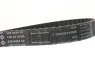 Комплект ГРМ Volvo S60/S80/S90 14-, (B 4204) 530 0746 10 INA 530-0746-10 (фото 2)