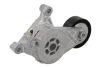 Натяжник ременя генератора VW Caddy 1.9TDI/2.0SDI, 04-10, (70x24) 534 0059 10 INA 534-0059-10 (фото 2)