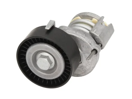 Натяжник ременя генератора VW Polo/Golf/Skoda Octavia/Fabia 1.0-1.6 97- 534 0123 20 INA 534-0123-20