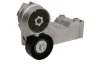 Натяжник ременя генератора Ford Connect 1.8TDCi/Di, 55/66/81kw (70x26) 534 0146 10 INA 534-0146-10 (фото 1)