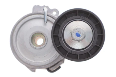 Натяжник ременя генератора Citroen Berlingo/Peugeot Partner 1.9D 96- 534 0255 10 INA 534-0255-10