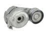 Натяжник ременя генератора MB S-class (W221) 3.2CDI, (65x32), OM642 534 0288 10 INA 534-0288-10 (фото 1)