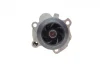 Помпа води VW Caddy II 1.9TDI/SDI (9K9A), 11/95 - 01/04, 47/66kw 538 0006 10 INA 538-0006-10 (фото 5)