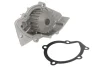 Помпа води Fiat Scudo/Ducato/Citroen Jumpy/Berlingo 1.9D/2.0HDi 538 0008 10 INA 538-0008-10 (фото 2)