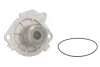 Помпа води Fiat Doblo 1.9JTD 01-/Opel Astra H 1.9CDTI 05- 538 0013 10 INA 538-0013-10 (фото 2)