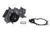 Помпа води Renault Kangoo 1.2 16V 06/01-, 55kw, D4F 538 0046 10 INA 538-0046-10 (фото 1)